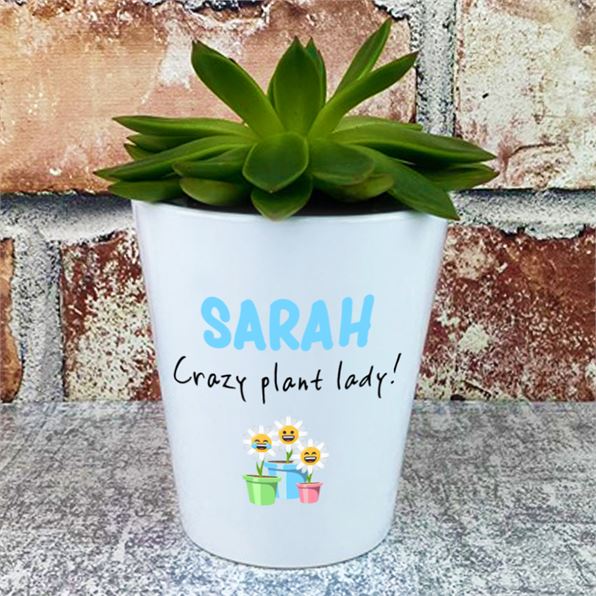 Personalised Crazy Plant Lady Plant Pot
