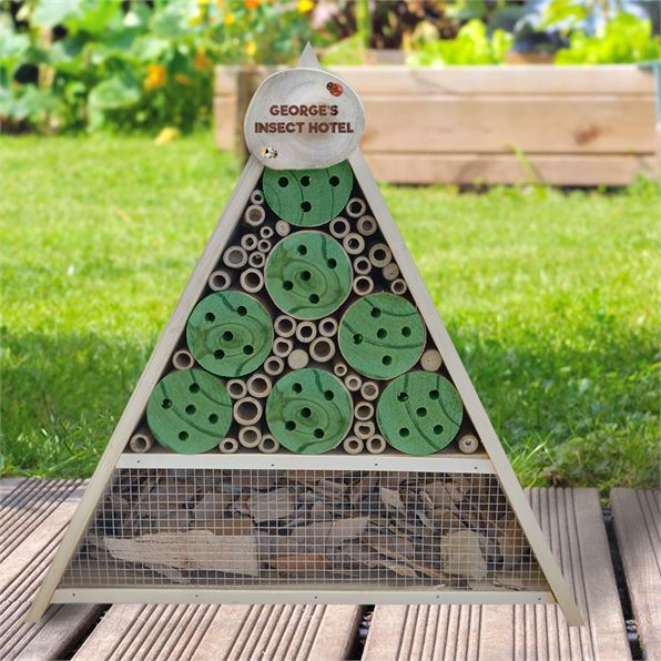 Large Full Green Personalised Bug House Pyramid Shape