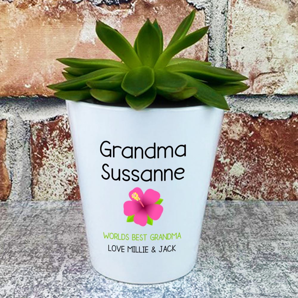 Personalised World's Best Grandma Plant Pot Gift Store