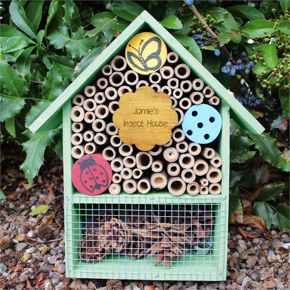 Wooden Insect Hotel Butterfly and Ladybird Mint Green
